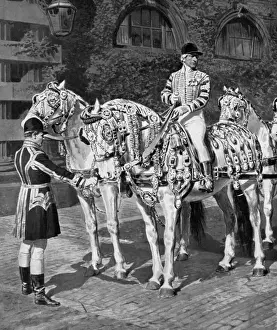Fortunino Matania Art Drucke: The Windsor Greys in their Coronation Harness