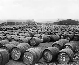 Wine Barrel Storage Solutions Drucke: Wine Barrels