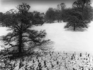 Winter Landscapes Of England Drucke: Winter Snow Scene
