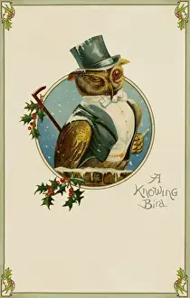 Weiser Eule