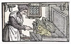 Hexe füttert Vertraute