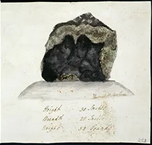 Malerei Drucke: Wolfe-Meteorit