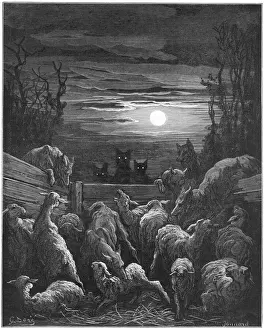 Die Wölfe und die Schafe