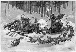 Wolves In Forest Drucke: Wolves and Sledge