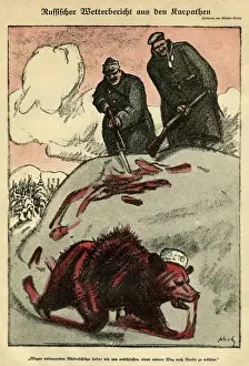 Verletzter russischer Bär