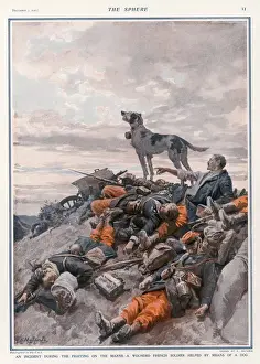 Drucke von Ein verwundeter französischer Soldat bei der Schlacht von der Marne wird gerettet, als die Regimentaldogs bellen und den Sanitäter an das Ort wo er liegt bringt Marne Drucke: Verletzte gerettet durch Hund