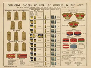 Kriegsanzeigeposter - Offiziersabzeichen und andere Badges