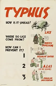 Drucke von Informationsschilder über Typhus und wie es sich verbreitet. Farbholzdruck, britischer Heeresinformationsschilder zum Typhus und seine Verbreitung, nach dem Leutnant Stacey Hopper Poster Drucke: Plakatafteil - WW II - Wie verbreitet sich Typhus?