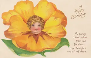 Gelbe Blume gegenüber