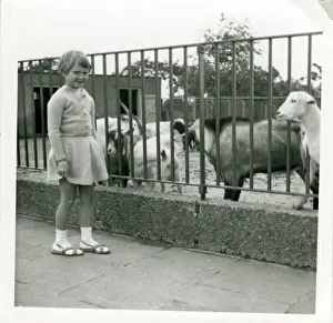 Southampton Drucke: Der Tierpark, Southampton, Hampshire