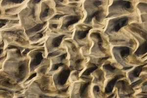 Arid Desert Scenery Photos Drucke: Namibia - Structural forms in the sand of a dry riverbed