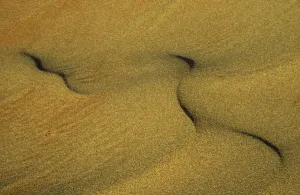 Namibia Desert Landscape Photography Drucke: Namibia - Structural forms in the sand of the Namib Desert. Namib-Naukluft Park, Namibia