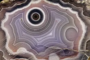 John Cancalosi Photographer Drucke: Agate - Mexico - Silicon dioxide