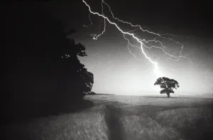 Drucke von DD-1 Lichtning schlägt auf einen Baum, Damjan Davie Bitte beachten Sie, dass Drucke nur für persönliche Anzeigepurposes gedruckt werden dürfen und nicht reproduziert werden können Halloween-Plakate: Bolt schlägt in einen Baum