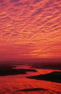 Johan De Meester Artwork Drucke: Sunset