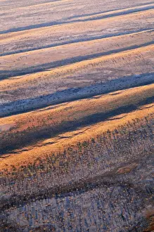 Jean Paul Ferrero Artwork Drucke: Australia Simpson Desert Dunefields