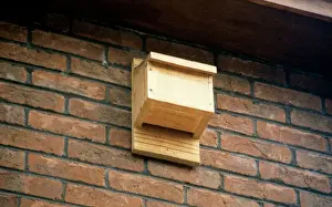 Drucke von ROG-5633 BATSCHENBOXX Bob Gibbons Bitte beachten Sie, dass die Drucke nur für persönliche Anzeigezwecke gedacht sind und nicht reproduziert werden dürfen Gibbon Drucke: Batterie-Box Großbritannien