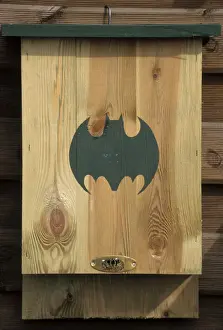 Johan De Meester Artwork Drucke: Bat - nestbox