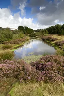 Cornish Mining Heritage Sites Drucke: Bissoe Valley - former Mining area - Cornwall, UK