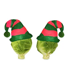 White Background Plant Photography Drucke: Brussels sprout - with elf hat