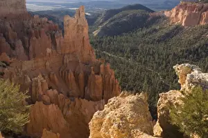 Bob Gibbons Photographer Drucke: Bryce Canyon, Fairview