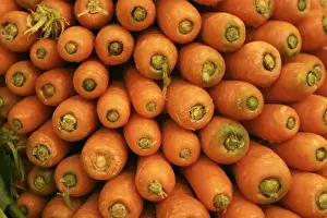 Personal Use Only Artwork Drucke: Carrots