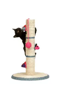 Jean Michel Labat Artwork Drucke: Cat - black kitten on activity play centre / scratch post