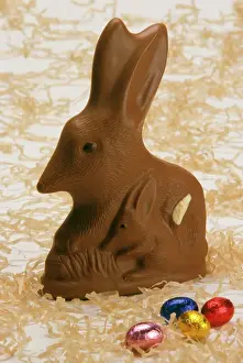Drucke von JLR-377 Schokoladenbiber - die australische Version des Ostereichens, Macrotis lagotis von Jean-marc La Roche Beuteltiere Drucke: Chocolatene Meerschweinchen - Australiens Version des Osternhasen von JLR07151