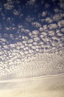 Cirrocumulus Cloud Formation Drucke: Cirrocumulus Clouds - mackerel sky