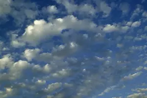 Cirrocumulus Cloud Formation Drucke: Clouds - cirrocumulus