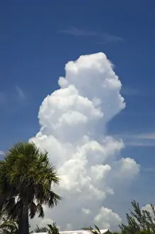 Wachsendes Cumulonimbus-Wettergewitter über dem Ozean; Grand-Bahama-Insel, Bahamas