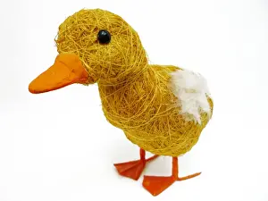 White Background Animal Prints Drucke: Duck - Straw Duckling