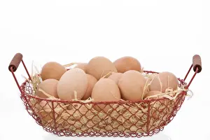 Chicken Eggs Drucke: Eggs - basket of eggs in studio
