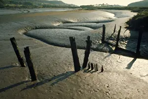 UK Coastal Scenery Images Drucke: Estuary - mudflats