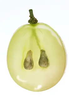 Studio Fruit Photography Drucke: Fruit - single grape in studio - showing seeds