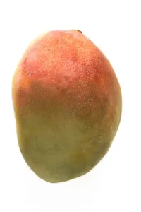 Mangoschotenstudioaufnahme