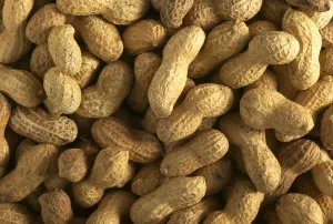 Peanuts