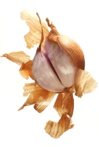Fruit And Vegetable Photography Drucke: Shallot