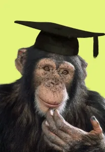 Chimpanzee mit Pfeffermühle, fassbar digitale Manipulation: Pfeffermühle (ABM) – hinzugefügtes Farbeneckgrund