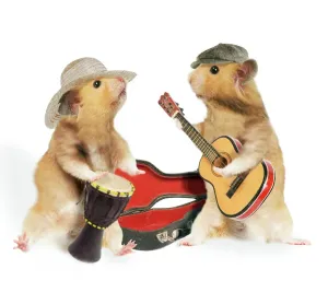 Hamster - spielen Musikinstrumente - beschriftbar.