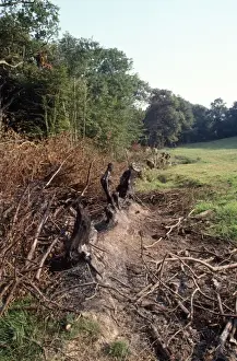 Agricultural Landscape Damage Drucke: Hedgerow destruction