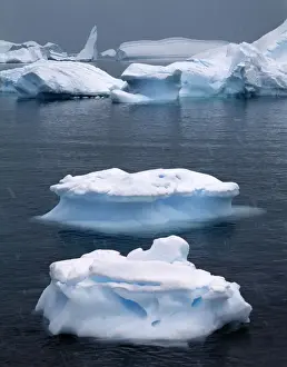 Antarctica Icebergs Drucke: Icebergs - Antarctica