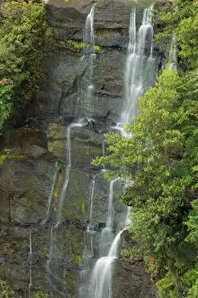 Oceania Landscapes Drucke: idyllic waterfall - very filigrane waterfall