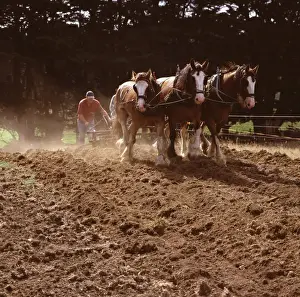 Agricultural Heritage Images Drucke: JFH00035