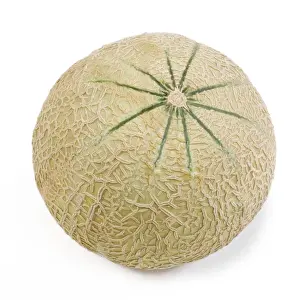 White Background Fruit Images Drucke: Melon - in studio