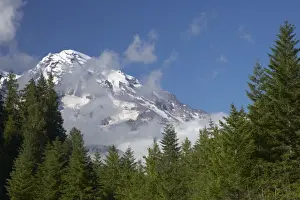 North American Mountain Ranges Drucke: Mount Rainier and low cloud Mount Rainier NP, Washington State, USA LA001363