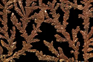 South American Geology Drucke: Native Copper - Bolivia