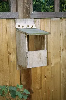 Nature Inspired Prints Drucke: Nest Box - open front