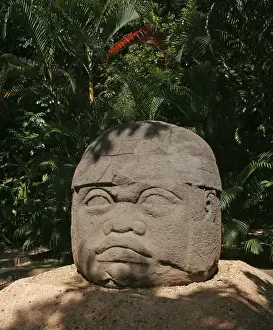 Ancient Mexican History Drucke: Olmec Statue - Mexico