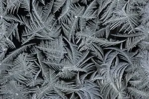 Lower Saxony Germany Landscape Photography Drucke: Frost Crystals - On car windscreen Lower Saxony, Germany